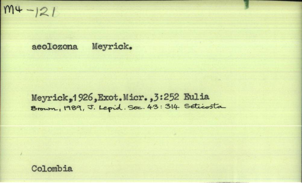 front of card